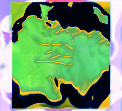 Elle 1